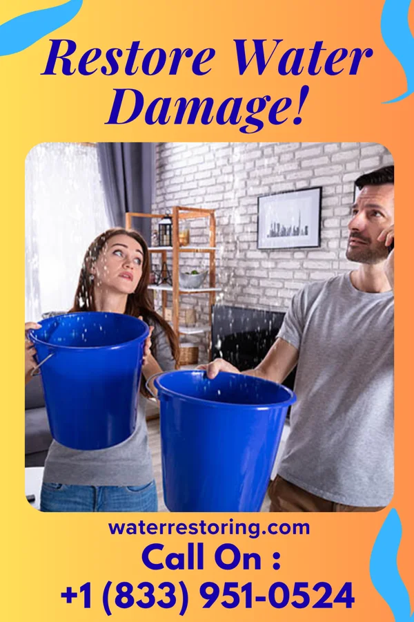 water restoration Solid Water Cleanup Specialists White